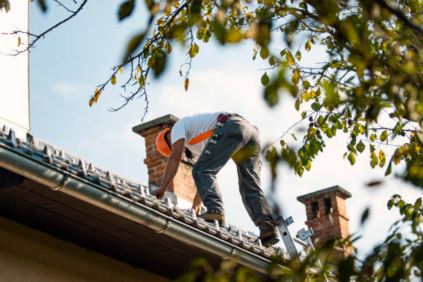 Best Metal Roofing Contractor  in Shorewood Forest, IN